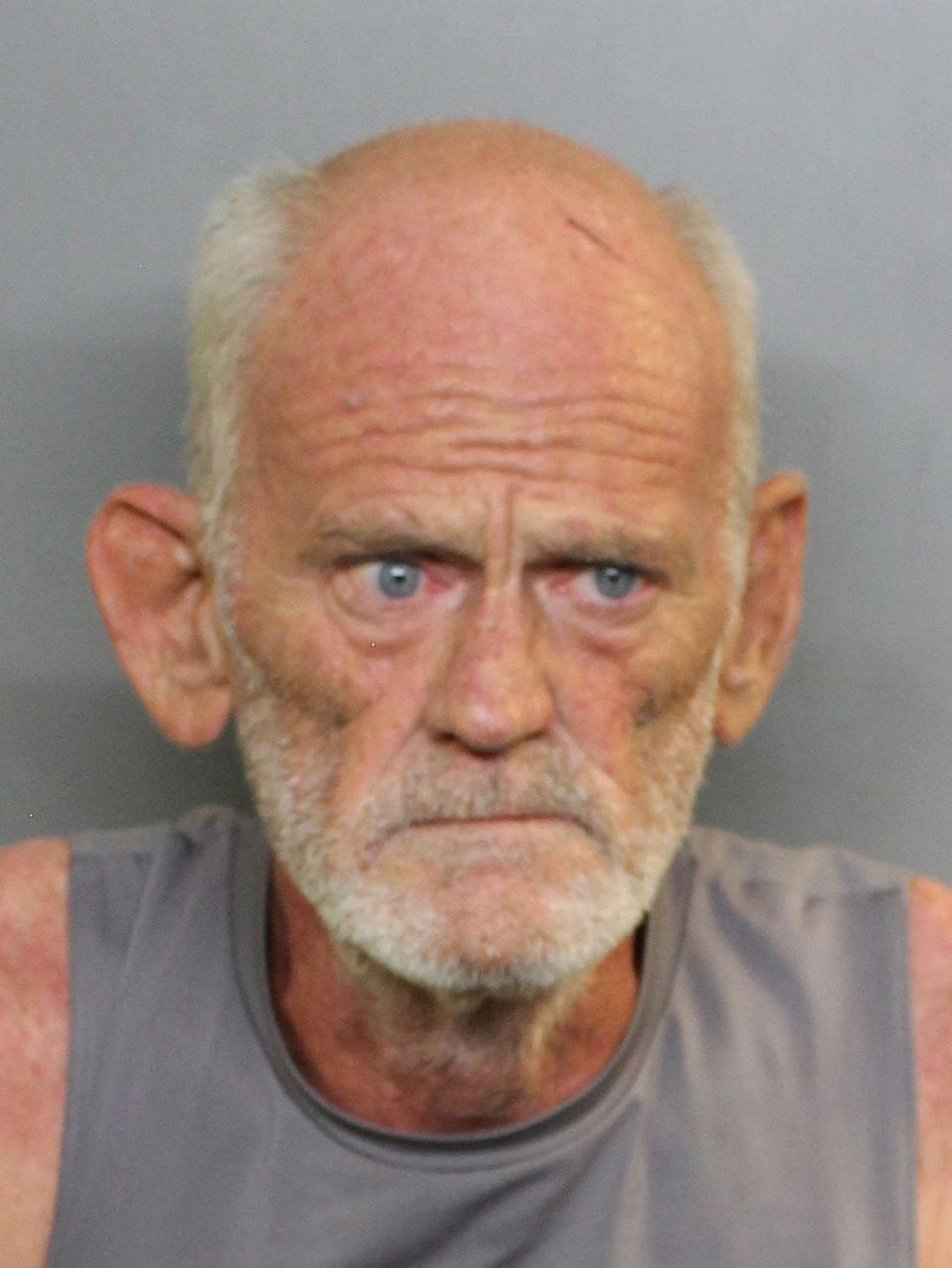 Harry Alvin Brodowsky | Charlotte County, Florida