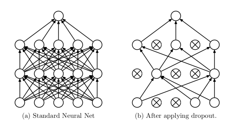 Standard Neural net vs Neural Net after applying dropout