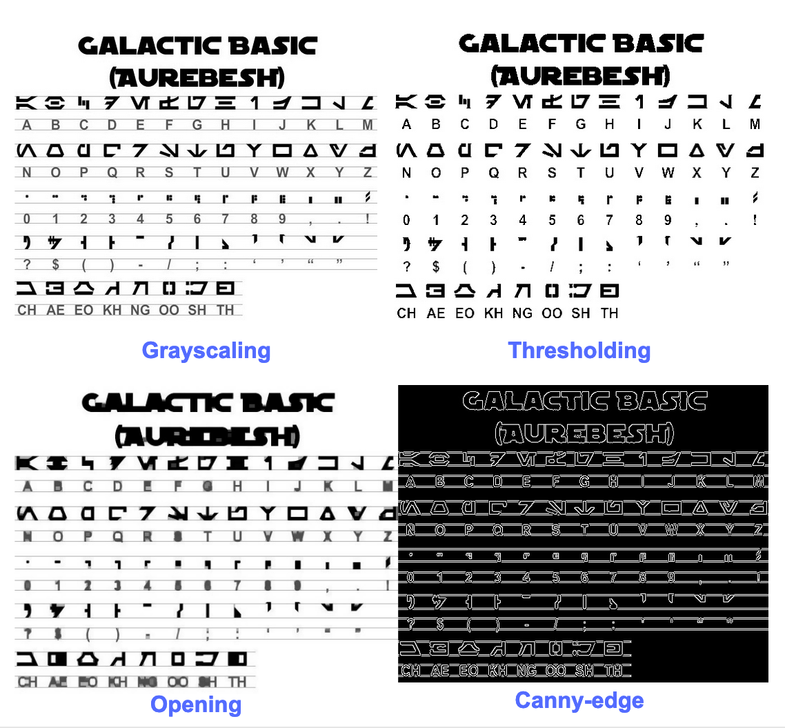The image after preprocessing