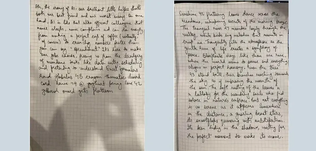 Handwritten pages used for Data Extraction using the LLM APIs