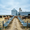 Besi Sığırı (Feeder Cattle)