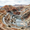 Codelco