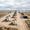 ConocoPhillips