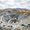 Freeport-McMoRan