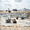 The Mosaic Company