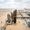 Sonatrach (Cezayir)
