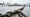 Baltic endeksi capesize ile geriledi