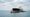 Basra petrolüne vlcc tanker bulunamadı
