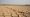 El Niño enflasyona 0,3 puan ekleyebilir
