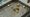 Altın fonlarına giriş hızlandı