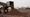 Rio Tinto demir cevheri satışları yükseldi