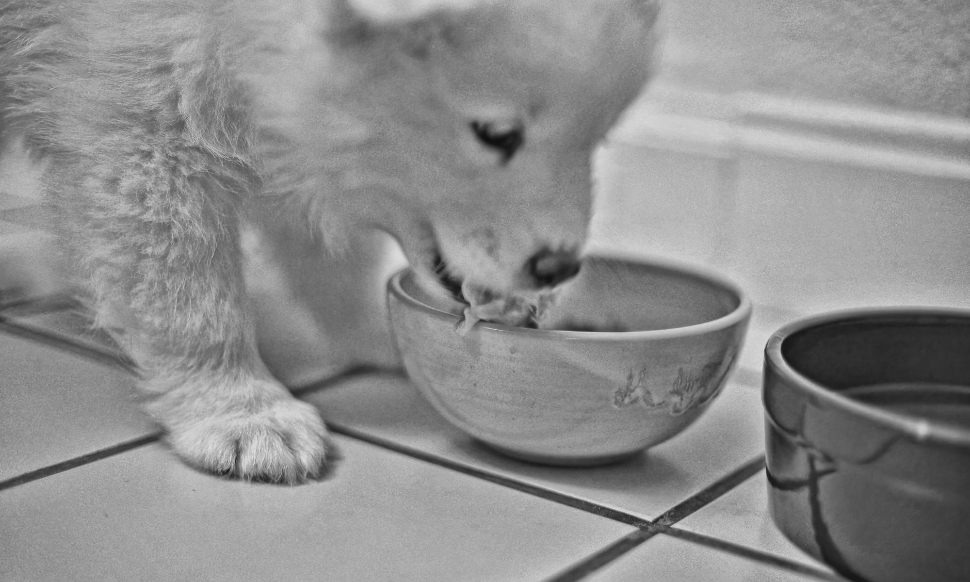 Washing My Bowl