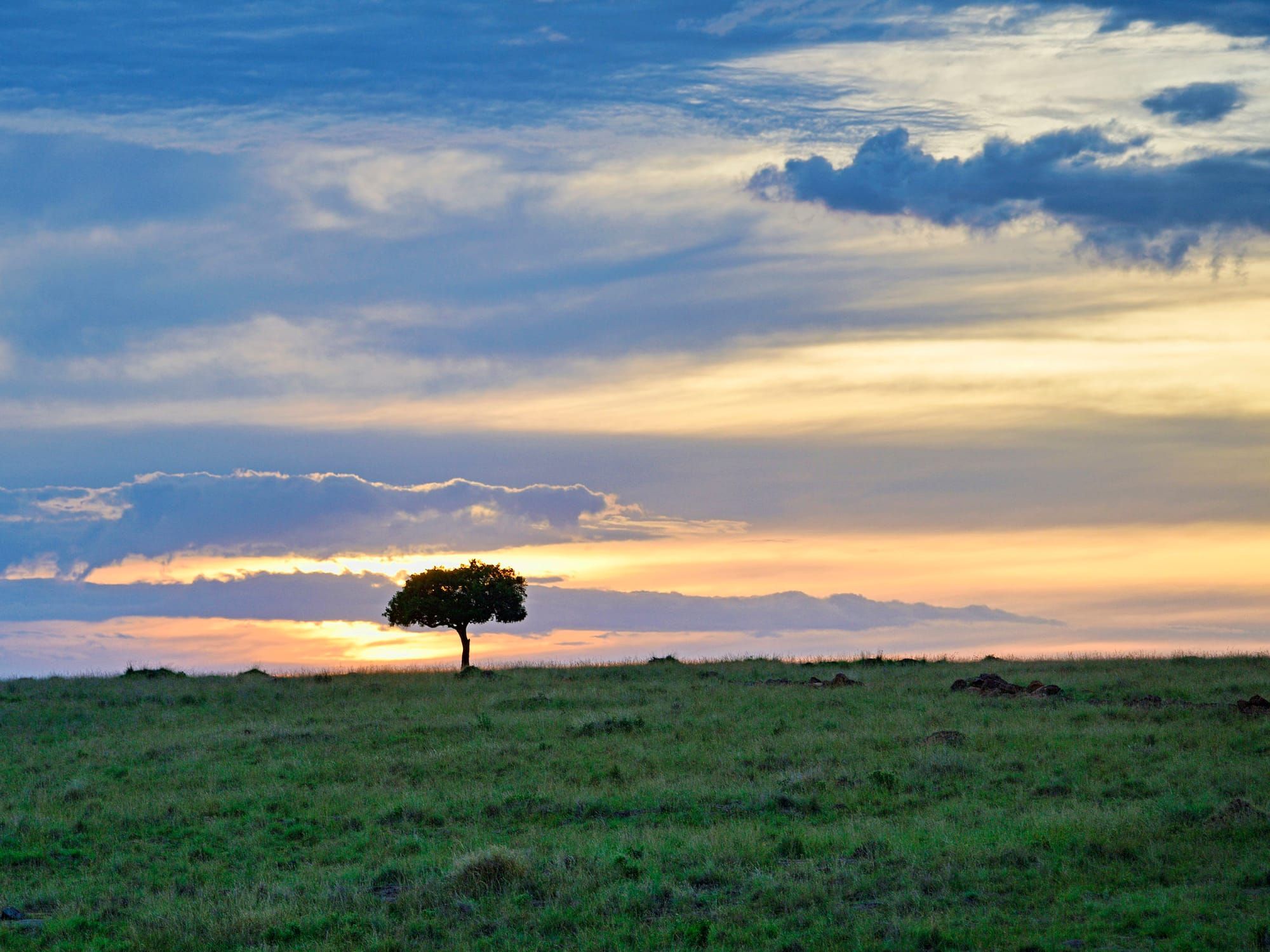 Meeting the Maasai
