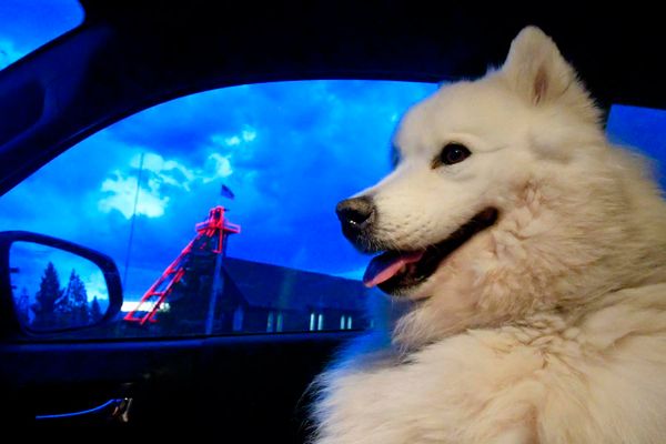 Headframes, the Heart of Butte