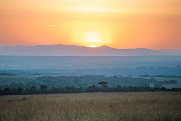 Safari day in Masai Mara