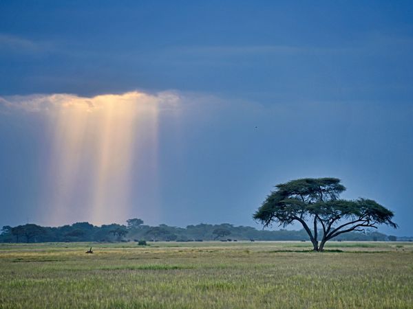 Arriving in Amboseli