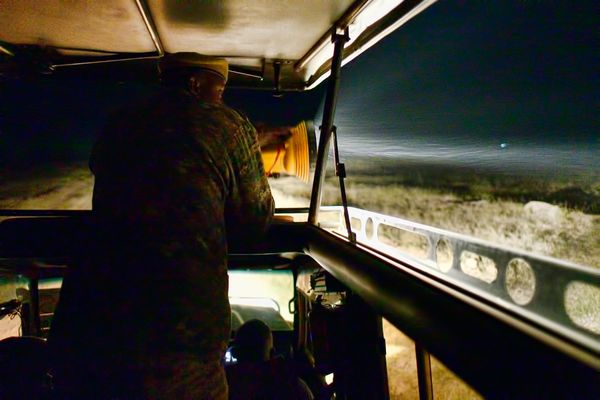 Safaris dawn to dusk