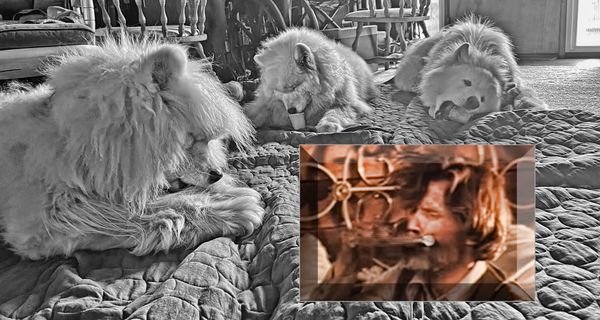 Sunday mornin' comin' down