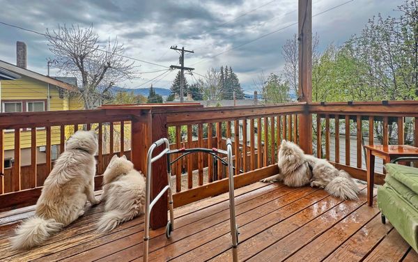 Back in Blue Sky Country