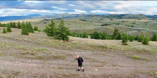 The knee at six weeks