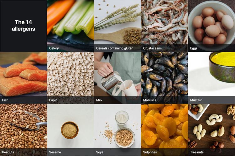 The fourteen named food allergens shown as a labelled grid, from celery and cereals containing gluten through to sulphites and tree nuts