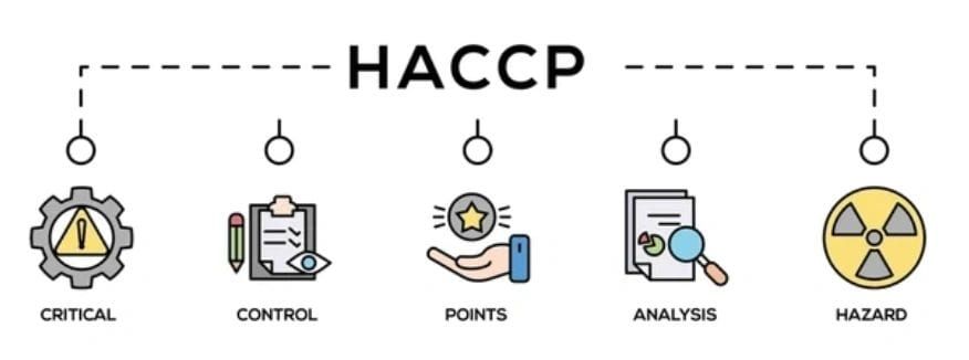 HACCP infographic with five icons labelled critical, control, points, analysis and hazard.