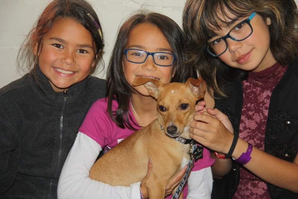 From + The + Vault: A Dog's Letter to Her New Family