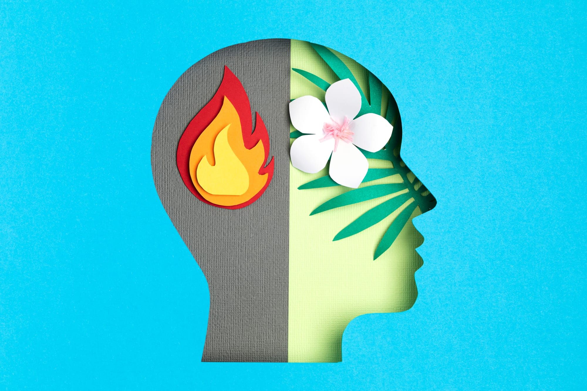 The Night My Brain Caught on Fire