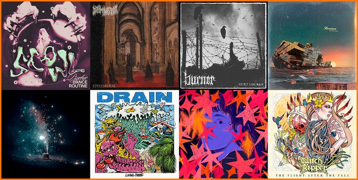 Weekly Roundup: February 13th