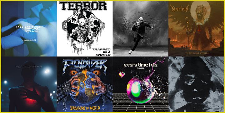 Weekly Roundup: February 8th