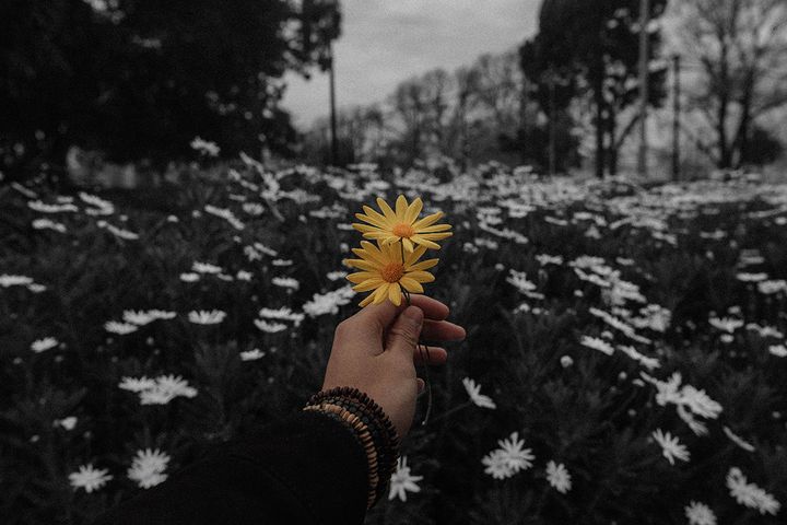 Ecstatic Ephemera: Nu Grunge