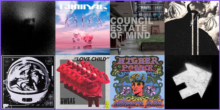 Weekly Roundup: February 12th