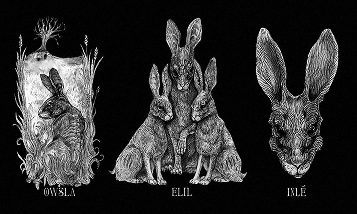 Astral Auguries: Fall of Efrafa