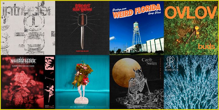 Weekly Roundup: October 25th