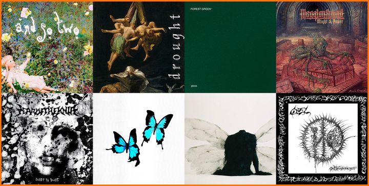 Weekly Roundup: February 6th