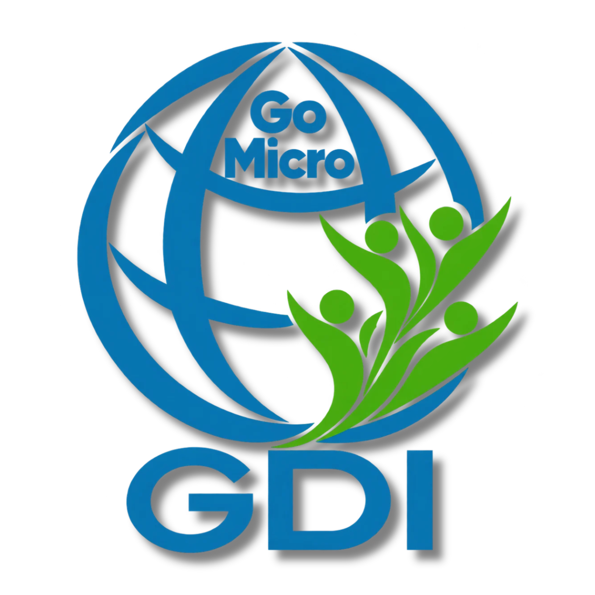 GO MICRO