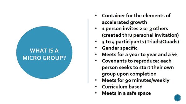 What is a MicroGroup