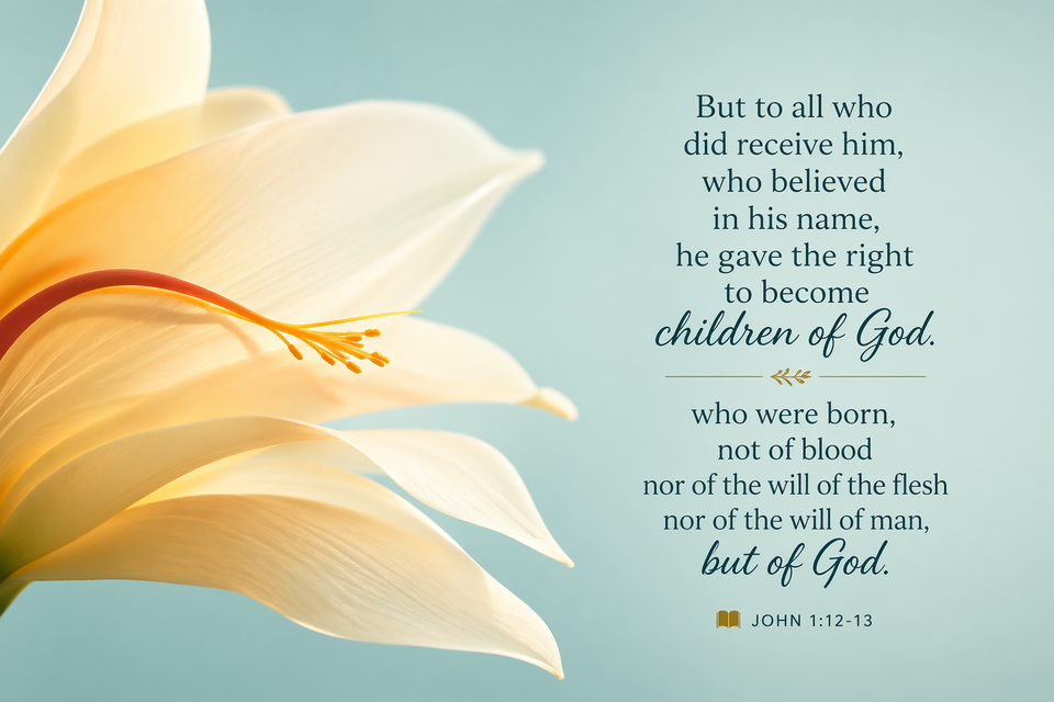 Adopted by God into the family of God