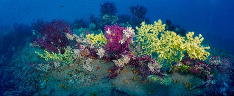 Quando il mare ci rende più piccoli … e più interi