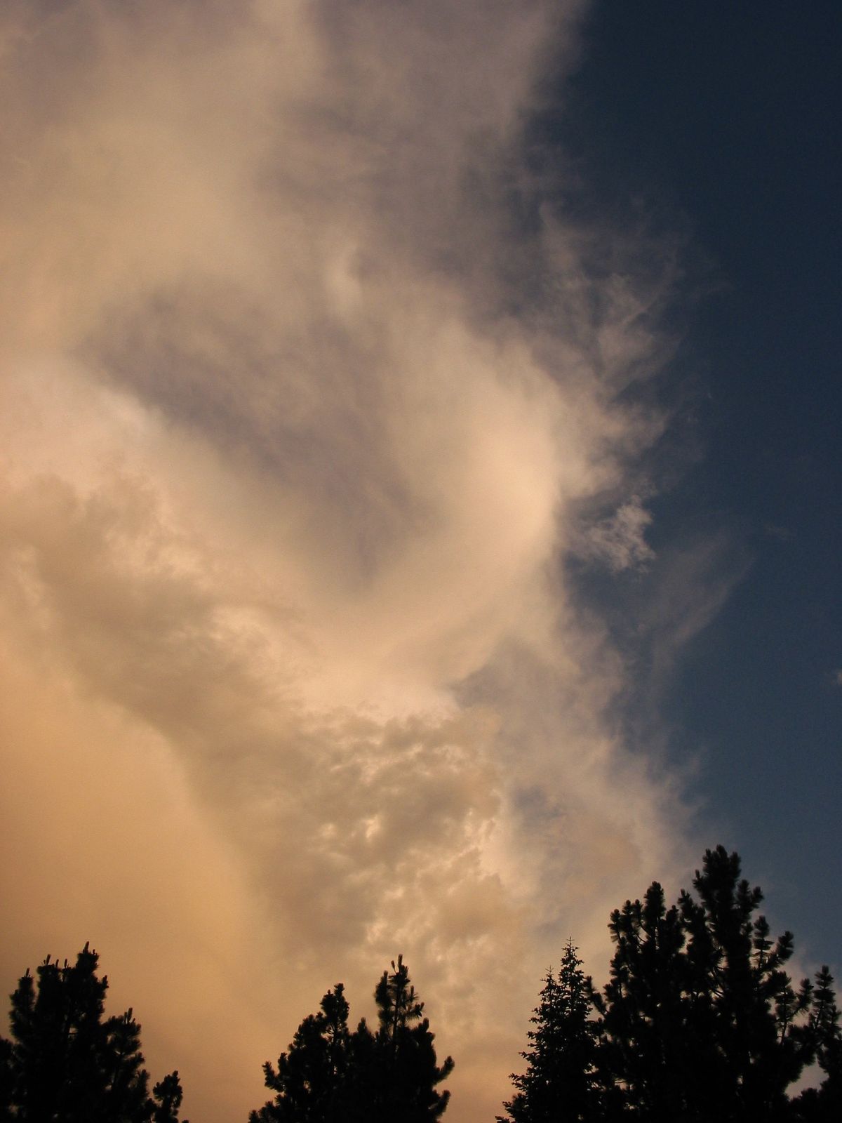 State of WASI support for CPython: March 2026