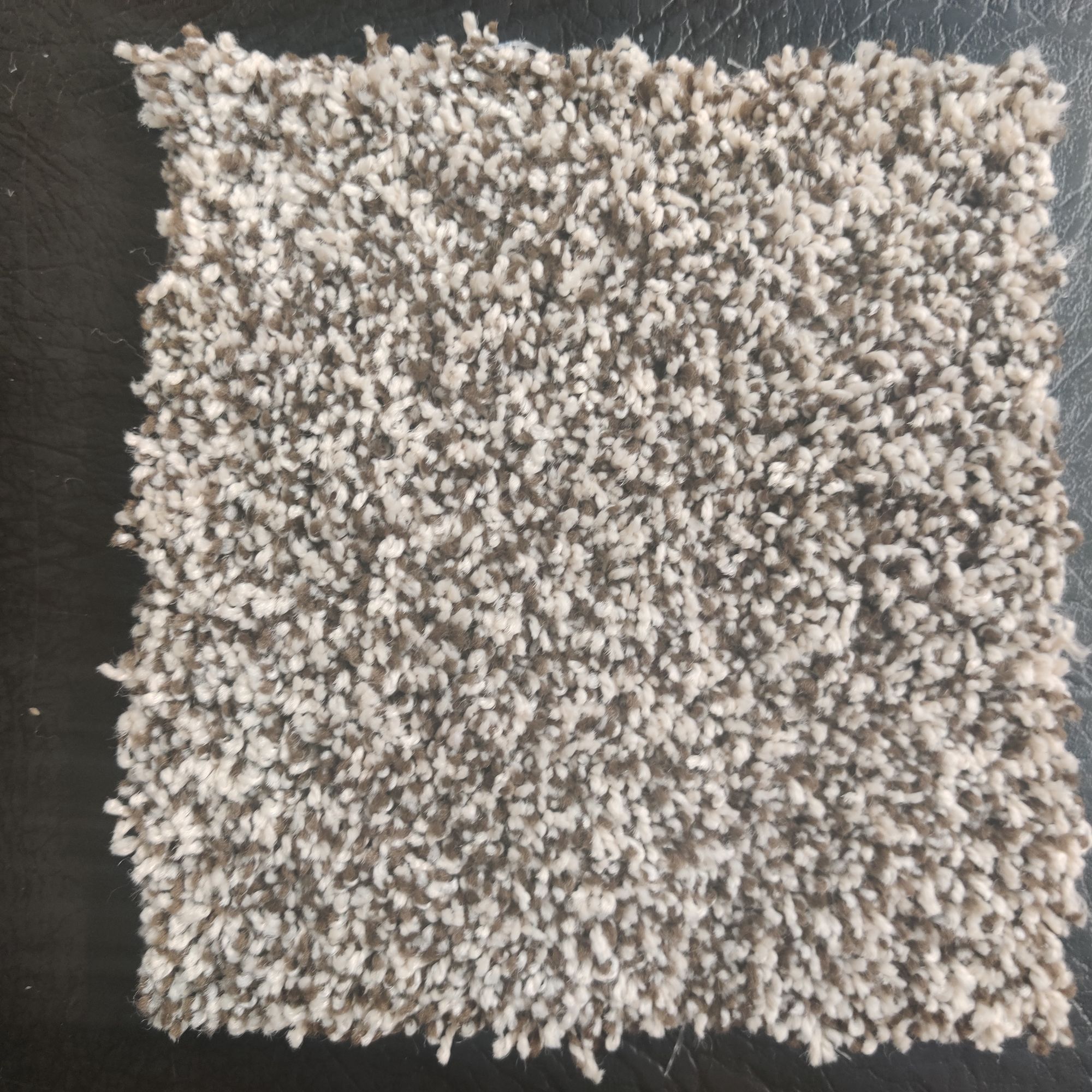 Shaw TEX 22 color: Oreo