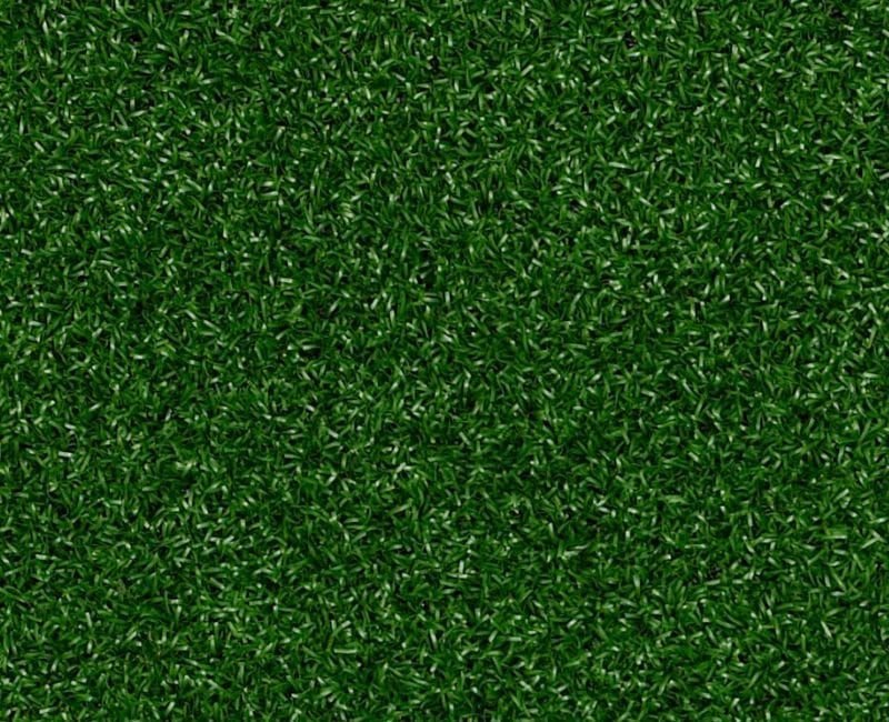 Shaw Park Central Performance-Turf