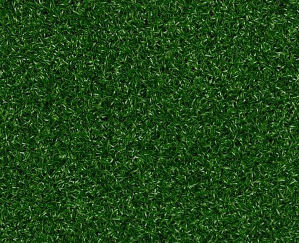 Shaw Park Central Performance-Turf