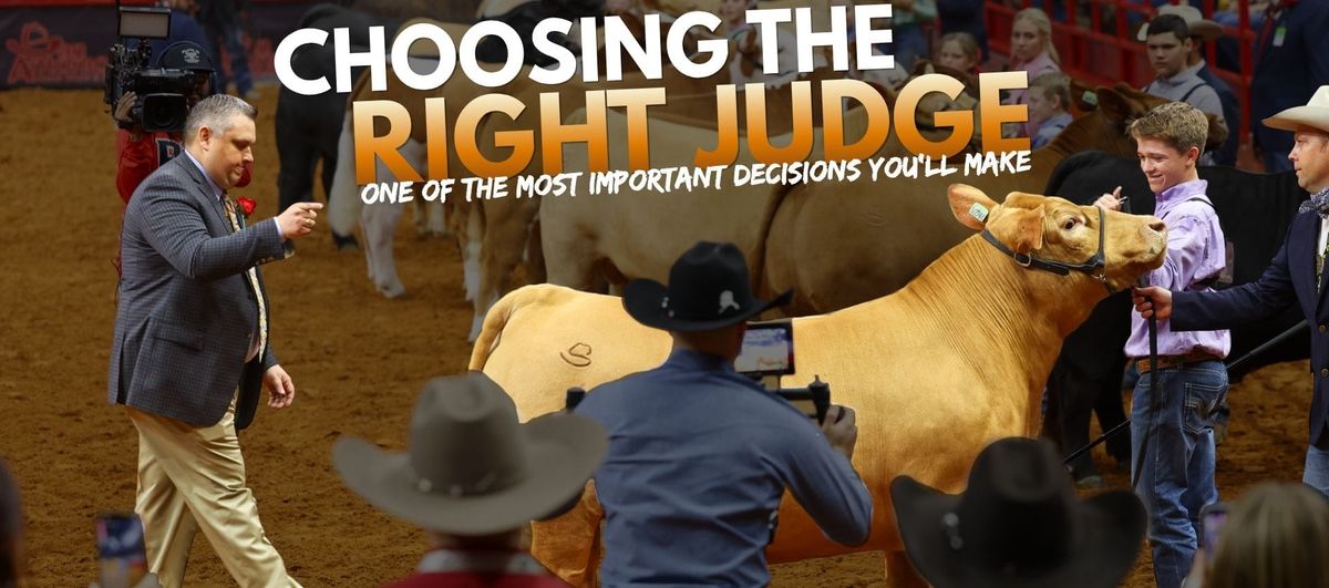 Choosing the Right Judge: One of the Most Important Decisions You'll Make