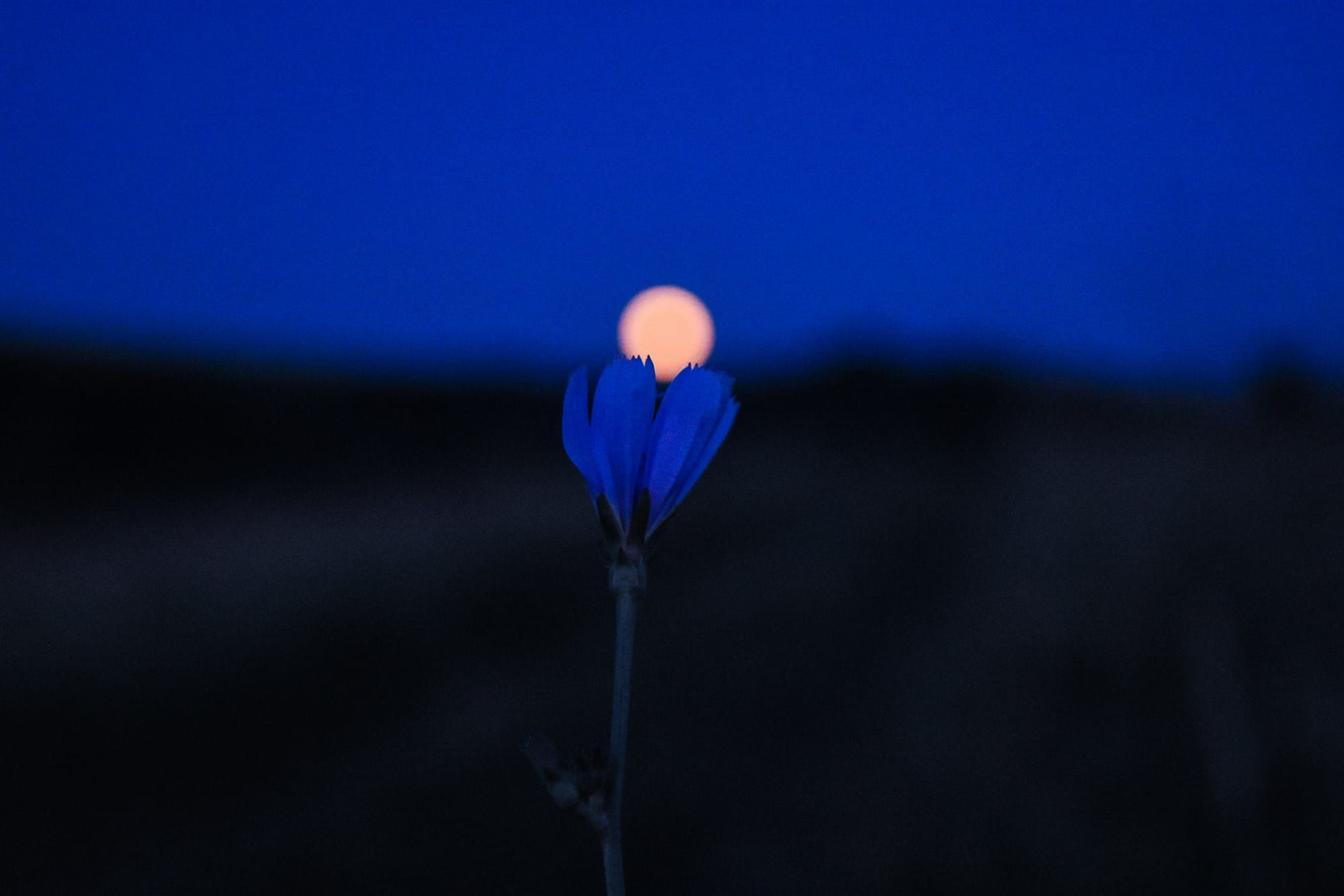 Photo by Alex Meta on Unsplash