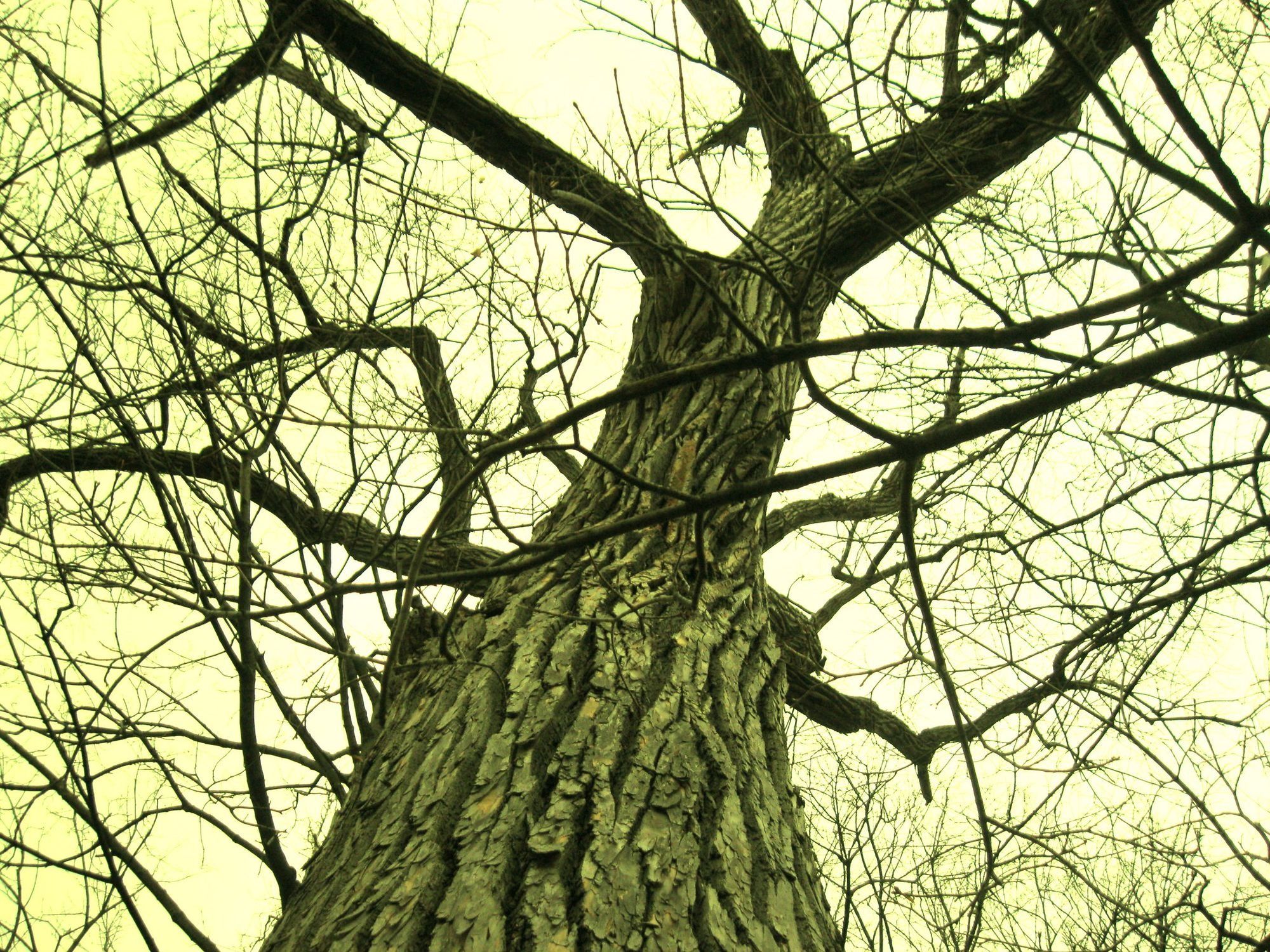 Spooky tales to scare your JavaScript developers