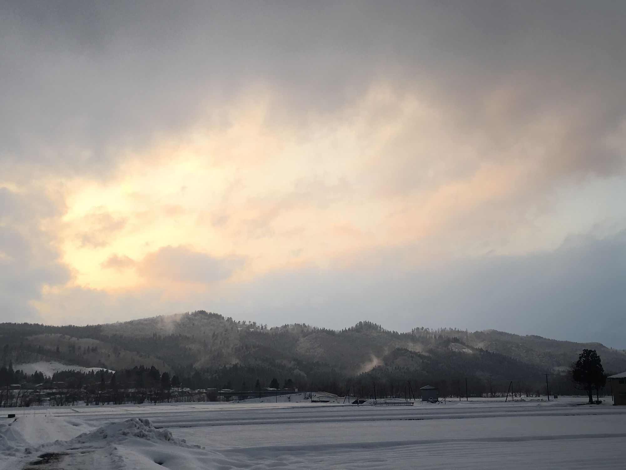 Thoughts on Education, writing, and translation