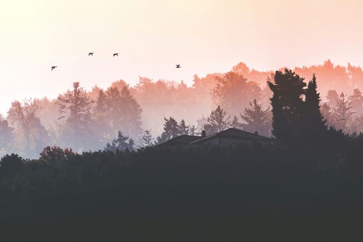 Living Daylight, Part 2