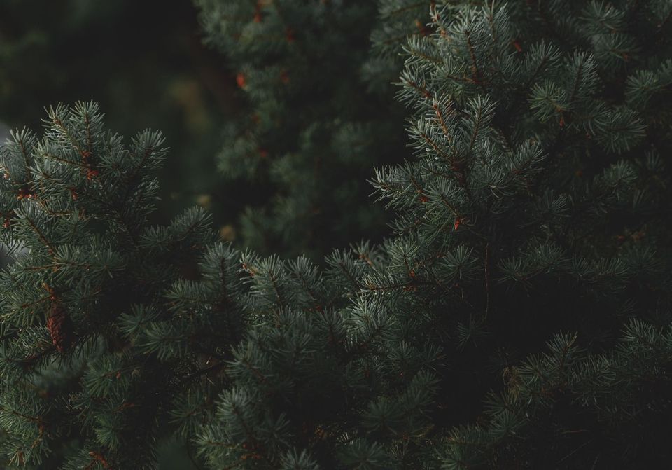 Minimalism
