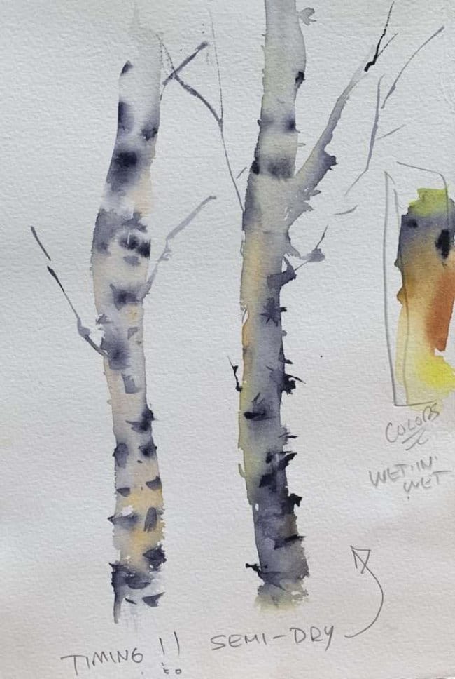Two textured birch trees created with various wash techniques